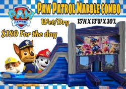 Paw Patrol Banner Marble Combo Splash pad Wet/Dry