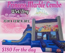 Princess Banner Marble Combo Splash pad Wet/Dry