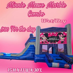 Minnie Mouse Banner Marble Combo Splash pad Wet/Dry