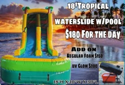 18FT Tropical Waterslide w/pool Wet/Dry