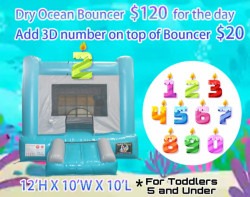 Dry Ocean Bouncer