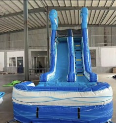 20FT Dolphin Waterslide W/pool Wet/Dry