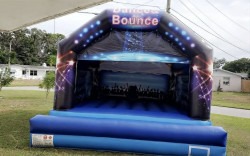 Dry Dance Bouncer (purple)