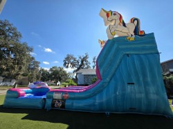 download207 1764881744 15fFT Unicorn Waterslide w/ pool Wet/Dry