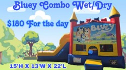 Bluey Banner Circus Combo Splash Pad Wet/Dry