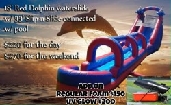18'Dolphin Waterslide W/slip n slide w/pool